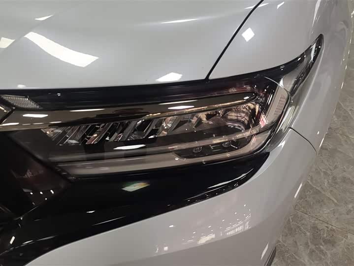 Фото 5 - Honda Elysion