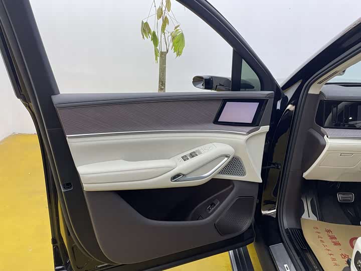 Фото 3 - Denza N9