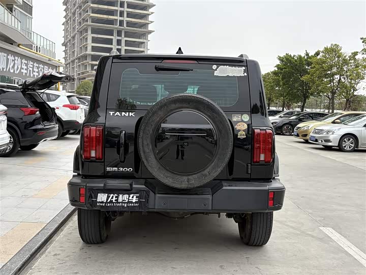 Фото 9 - Tank 300