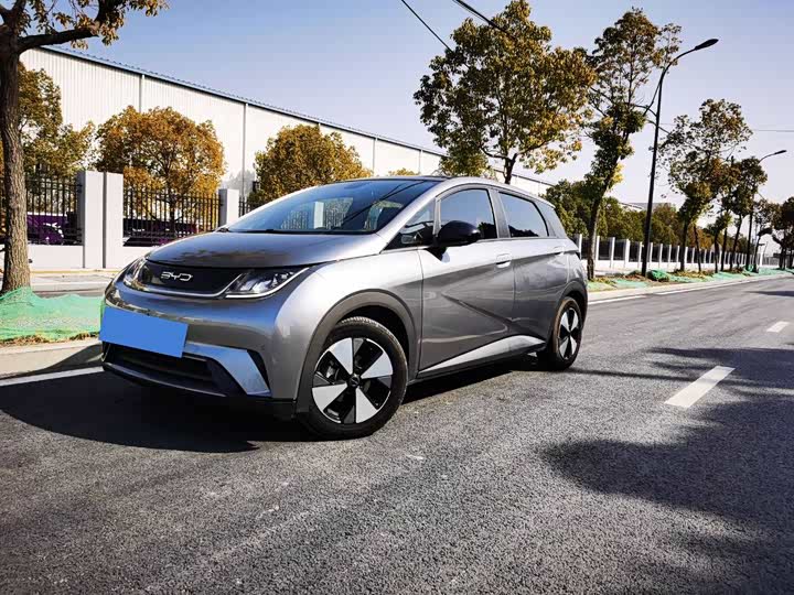 Фото 1 - BYD Dolphin