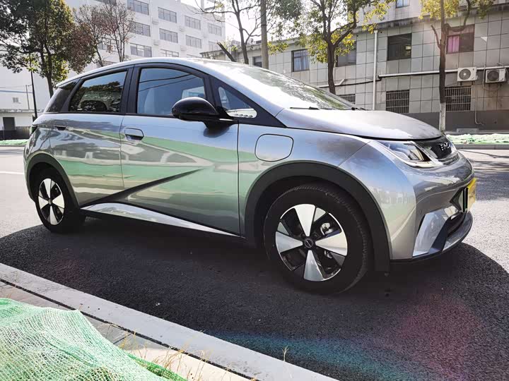 Фото 3 - BYD Dolphin