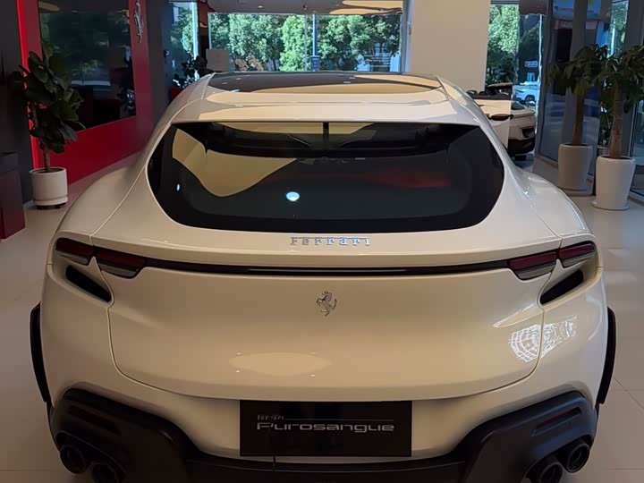 Фото 7 - Ferrari Purosangue