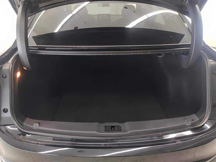 Фото 4 - Hongqi E-QM5