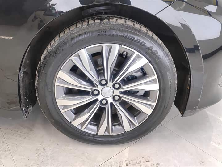 Фото 6 - Hongqi E-QM5