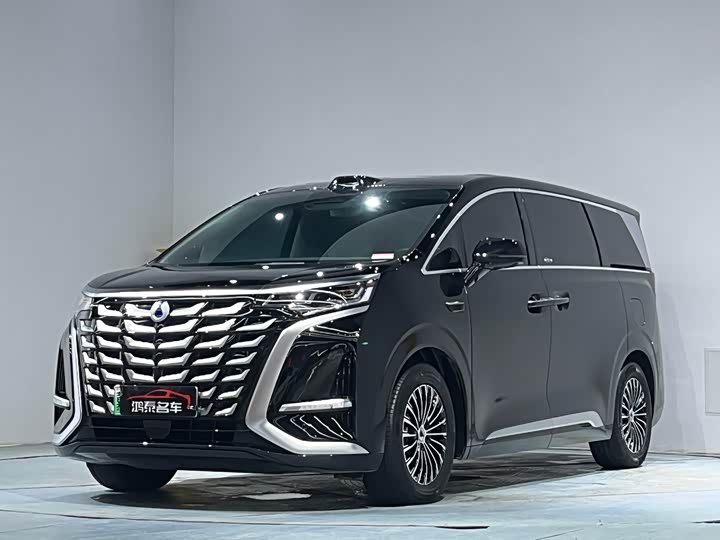 Фото 2 - Denza D9