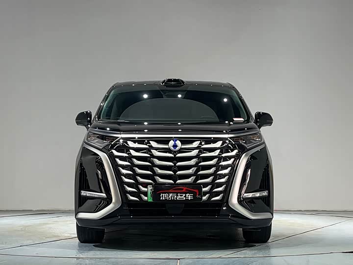 Фото 3 - Denza D9