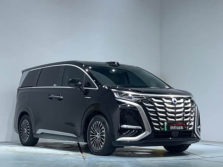 Фото 4 - Denza D9