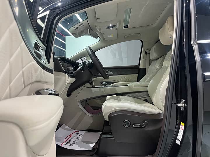 Фото 6 - Denza D9