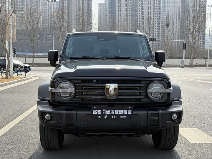 Фото 2 - Tank 300