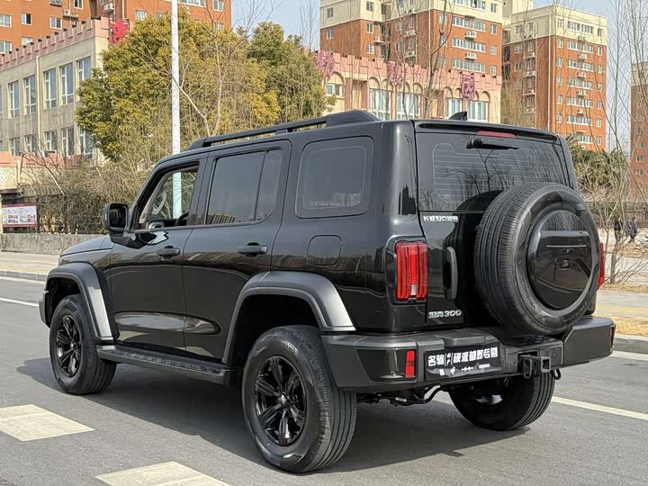 Фото 6 - Tank 300