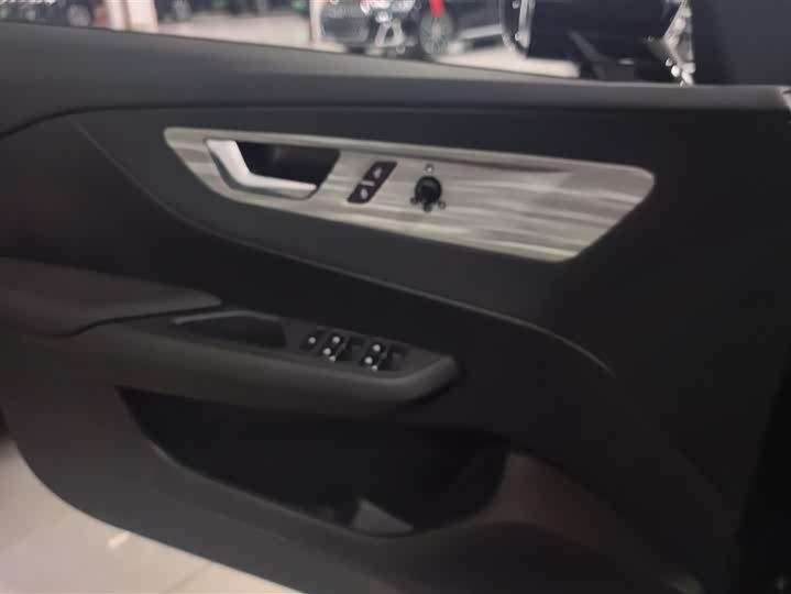 Фото 7 - Hongqi E-QM5