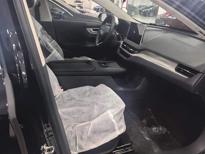 Фото 8 - Hongqi E-QM5