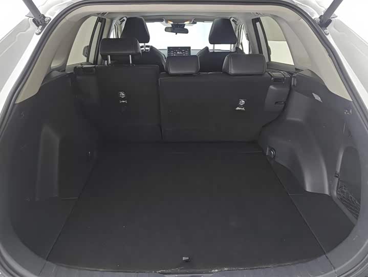 Photo 4 - Toyota Wildlander