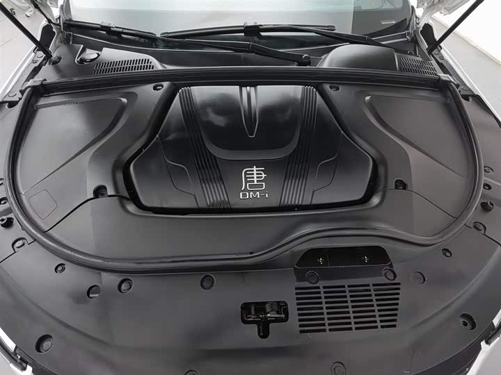 Фото 6 - BYD Tang Hybrid/EV