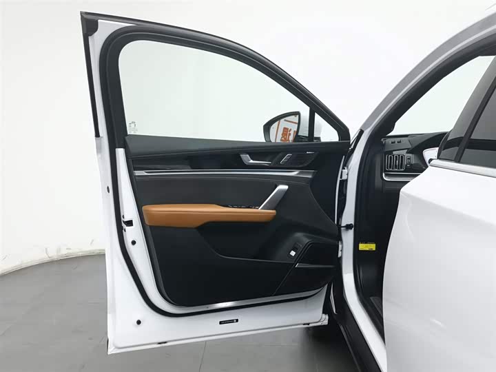 Фото 8 - BYD Tang Hybrid/EV