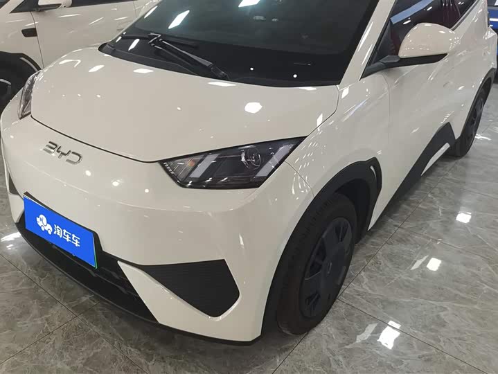 Фото 1 - BYD Seagull