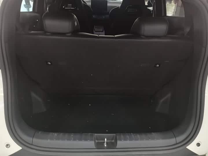 Фото 4 - BYD Seagull