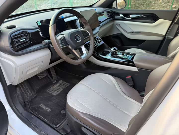 Фото 6 - BYD Qin Plus