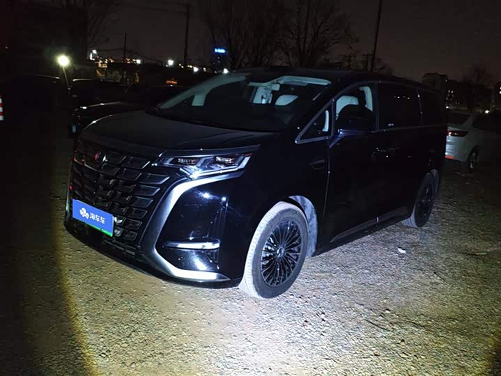 Фото 1 - Denza D9