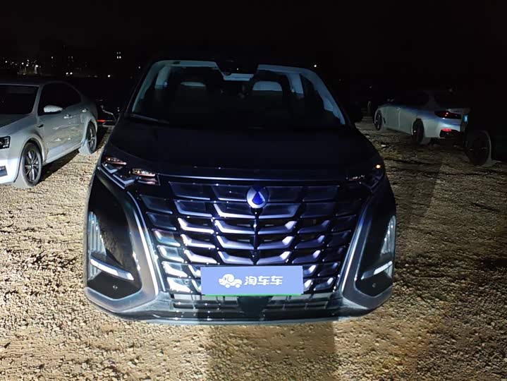 Фото 2 - Denza D9