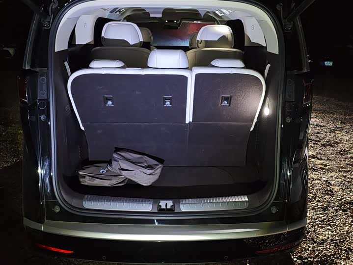 Фото 4 - Denza D9