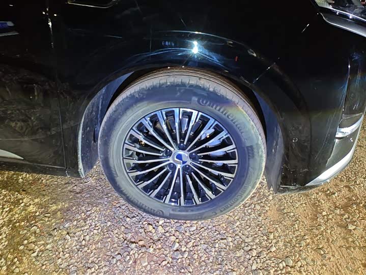 Фото 6 - Denza D9