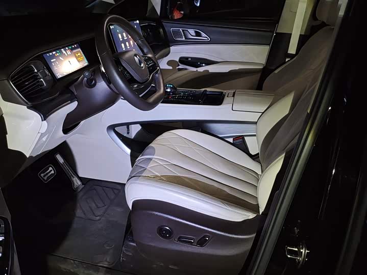 Фото 9 - Denza D9