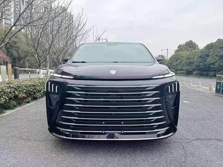 Фото 2 - Dongfeng Forthing Xinghai V9