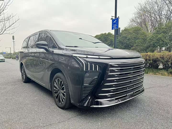 Фото 3 - Dongfeng Forthing Xinghai V9