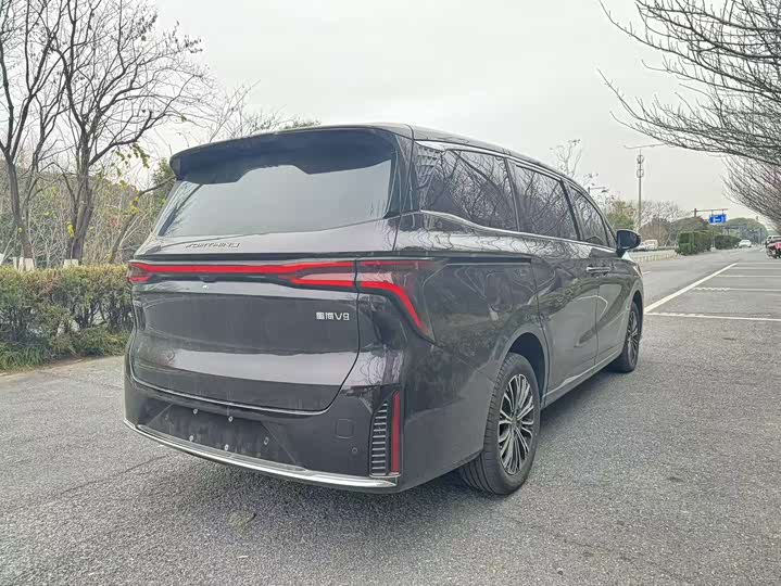 Фото 5 - Dongfeng Forthing Xinghai V9