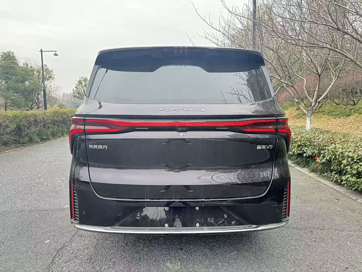 Фото 6 - Dongfeng Forthing Xinghai V9