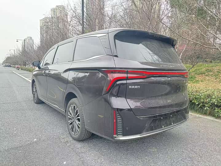 Фото 7 - Dongfeng Forthing Xinghai V9