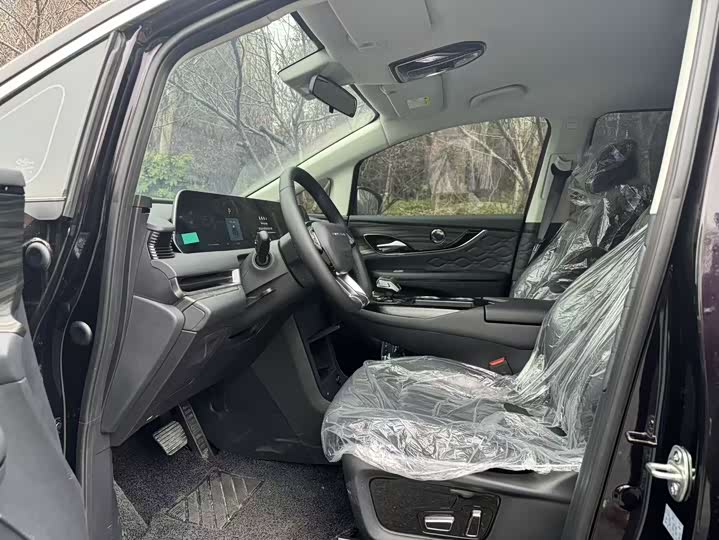 Фото 8 - Dongfeng Forthing Xinghai V9