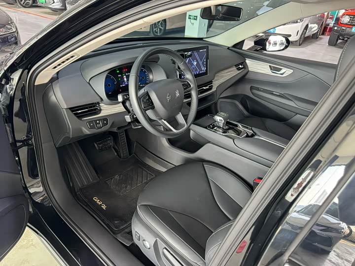 Фото 7 - Hongqi E-QM5