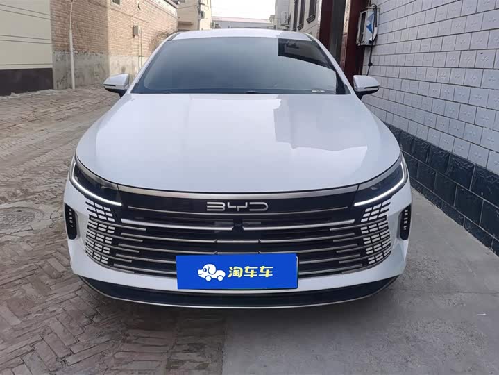 Фото 2 - BYD Destroyer 05