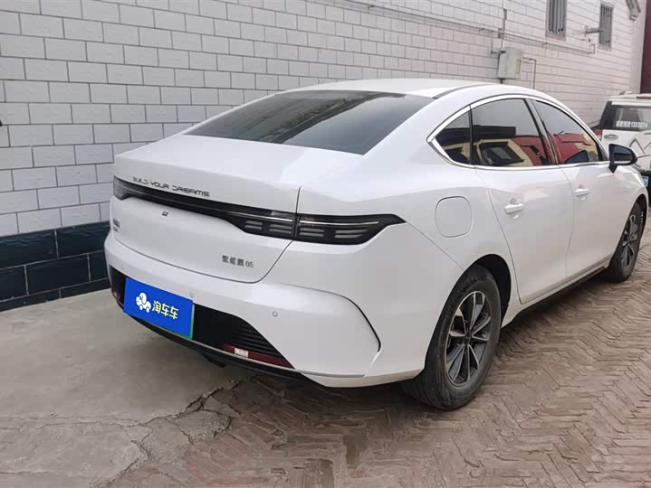 Фото 3 - BYD Destroyer 05