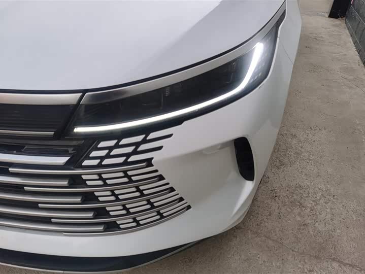 Фото 5 - BYD Destroyer 05