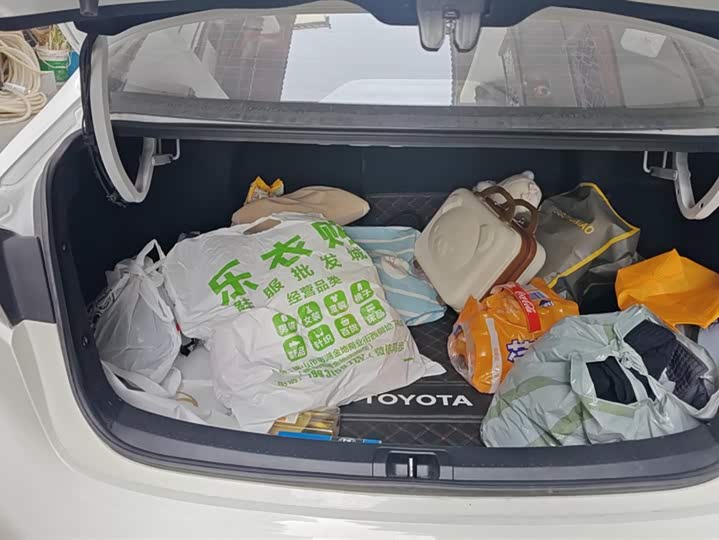 Фото 4 - Toyota Levin