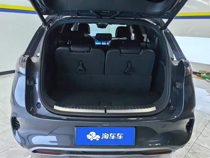 Фото 4 - Denza X