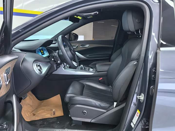 Фото 9 - Denza X