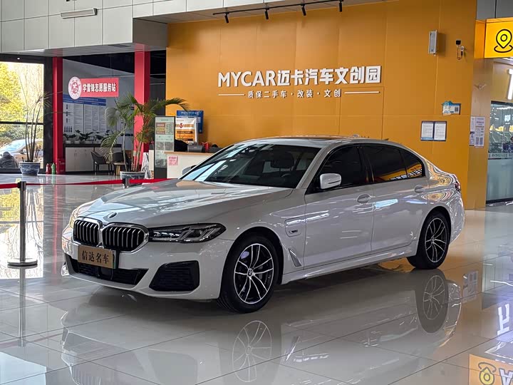 Фото 1 - BMW 5 Series Hybrid