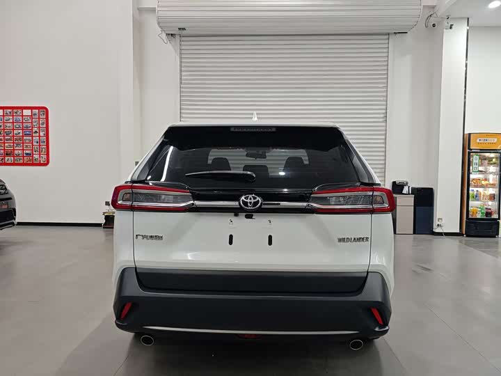 Фото 6 - Toyota Wildlander