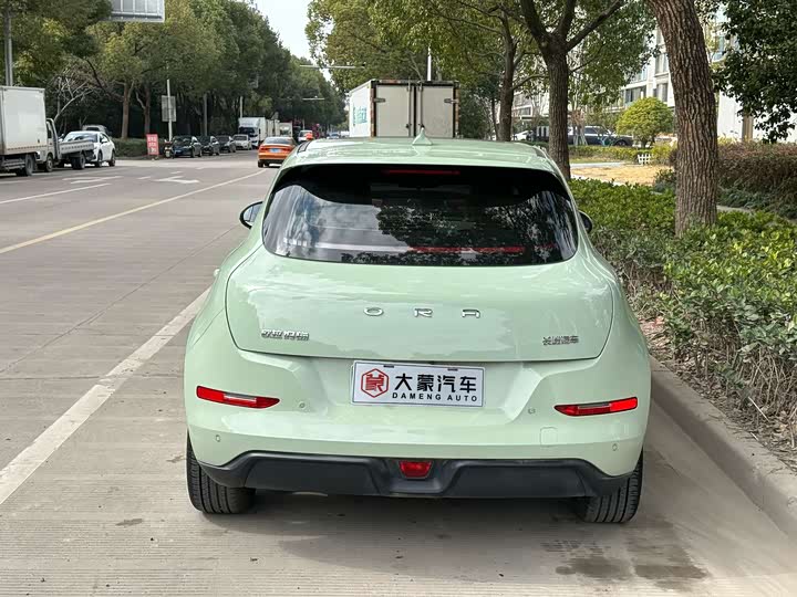 Фото 9 - Ora Good Cat (03)