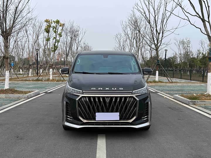 Фото 2 - Maxus G20