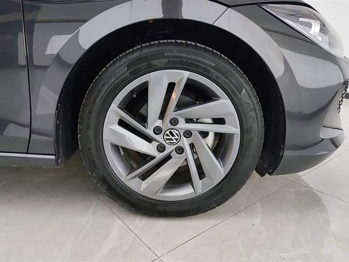 Фото 6 - Volkswagen Lamando L