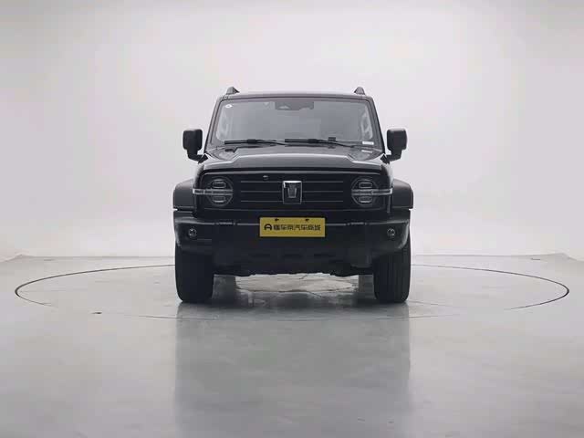 Фото 3 - Tank 300