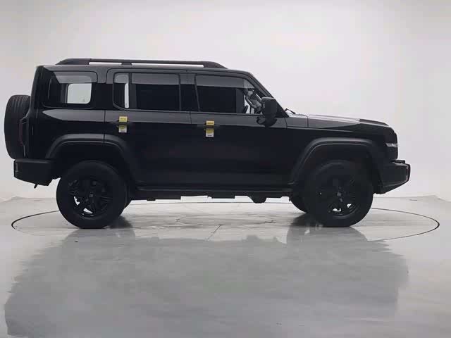 Фото 4 - Tank 300