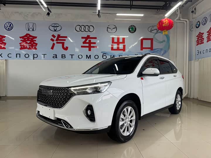 Фото 1 - Haval M6