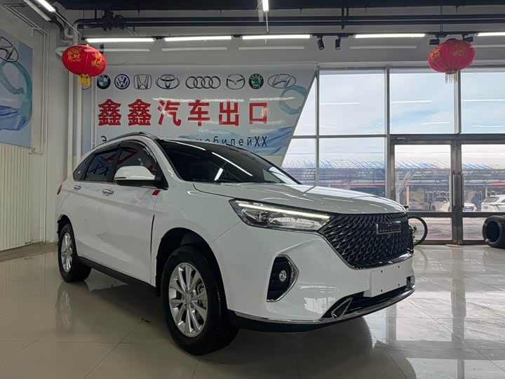 Фото 3 - Haval M6