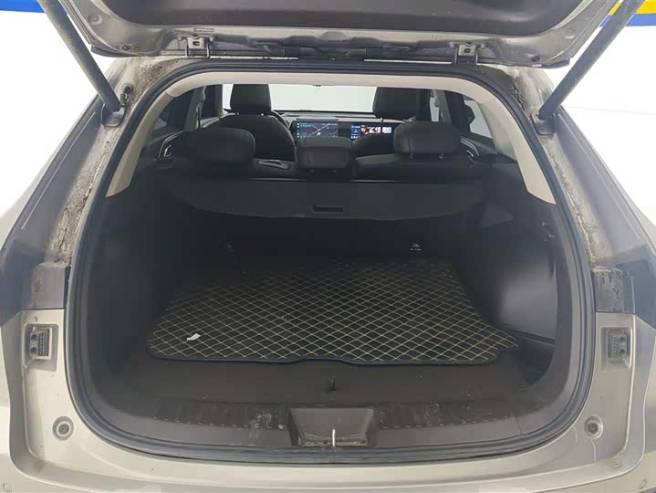 Фото 4 - Haval Ruge Max